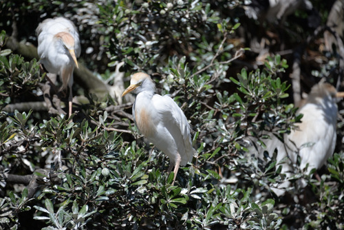 World of Birds Wildlife Sanctuary.